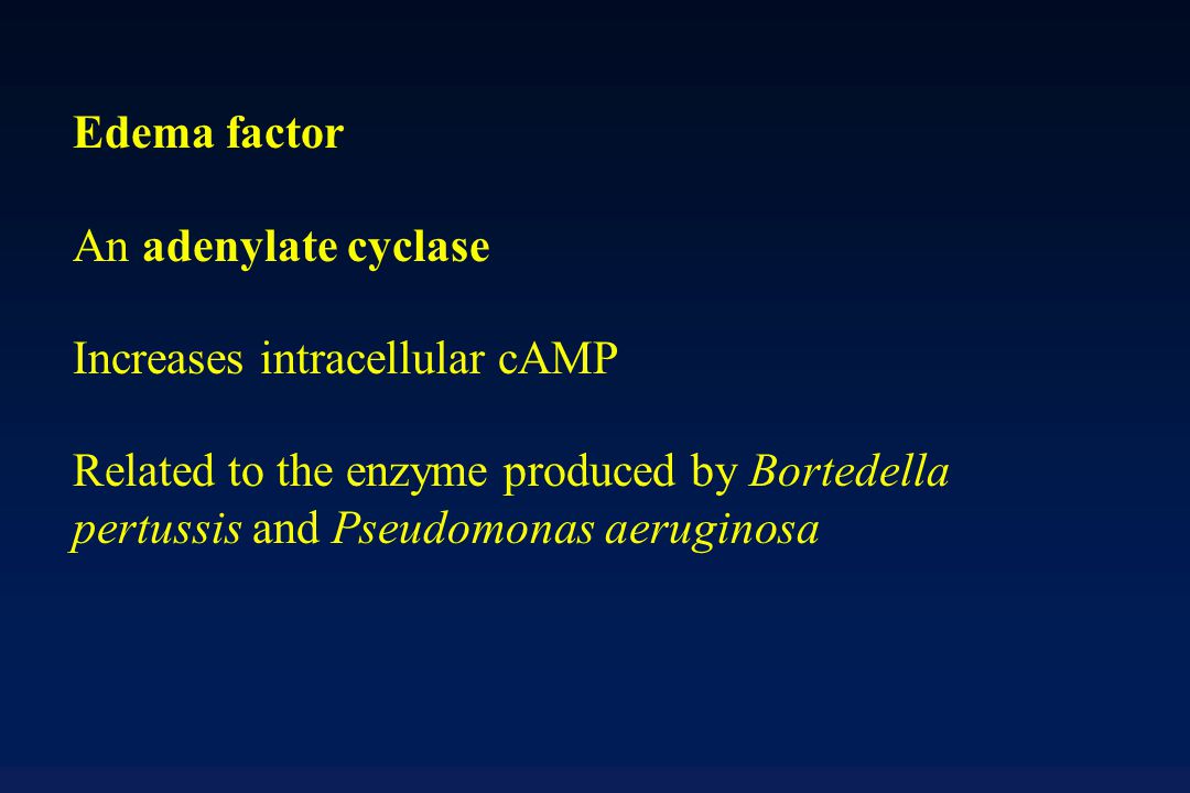 Edema factor An adenylate cyclase Increases intracellular cAMP Related to the enzyme produced by Bortedella pertussis and Pseudomonas aeruginosa