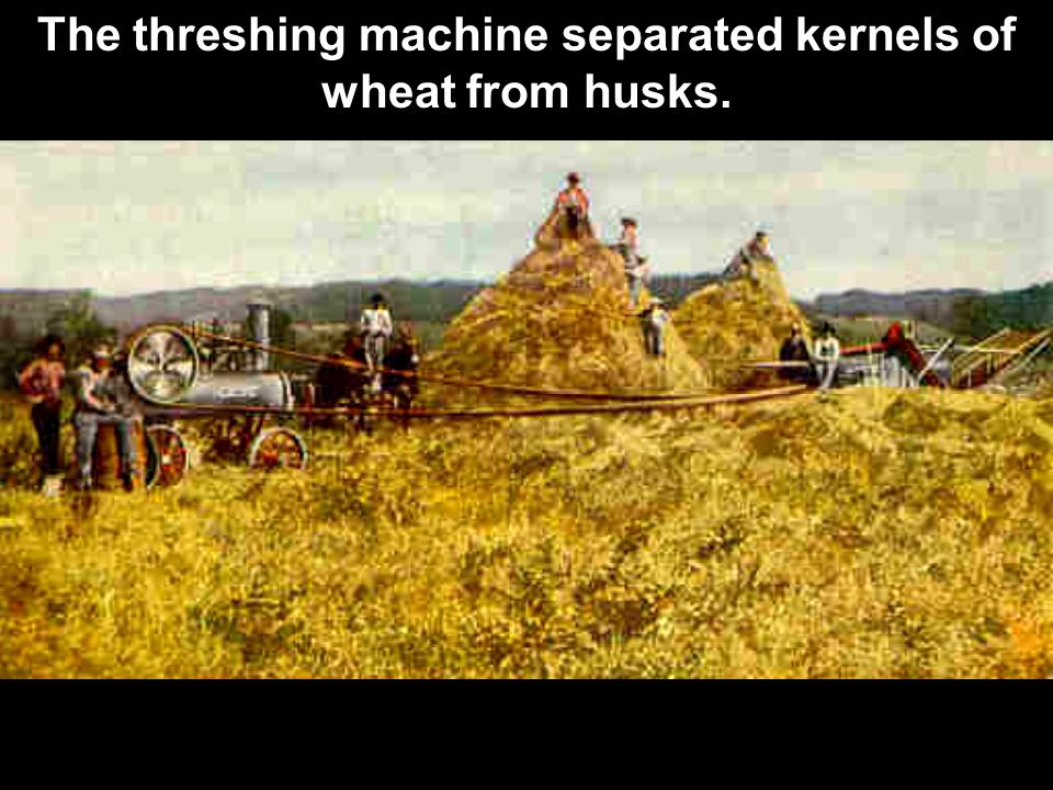 The threshing machine separated kernels of wheat from husks.