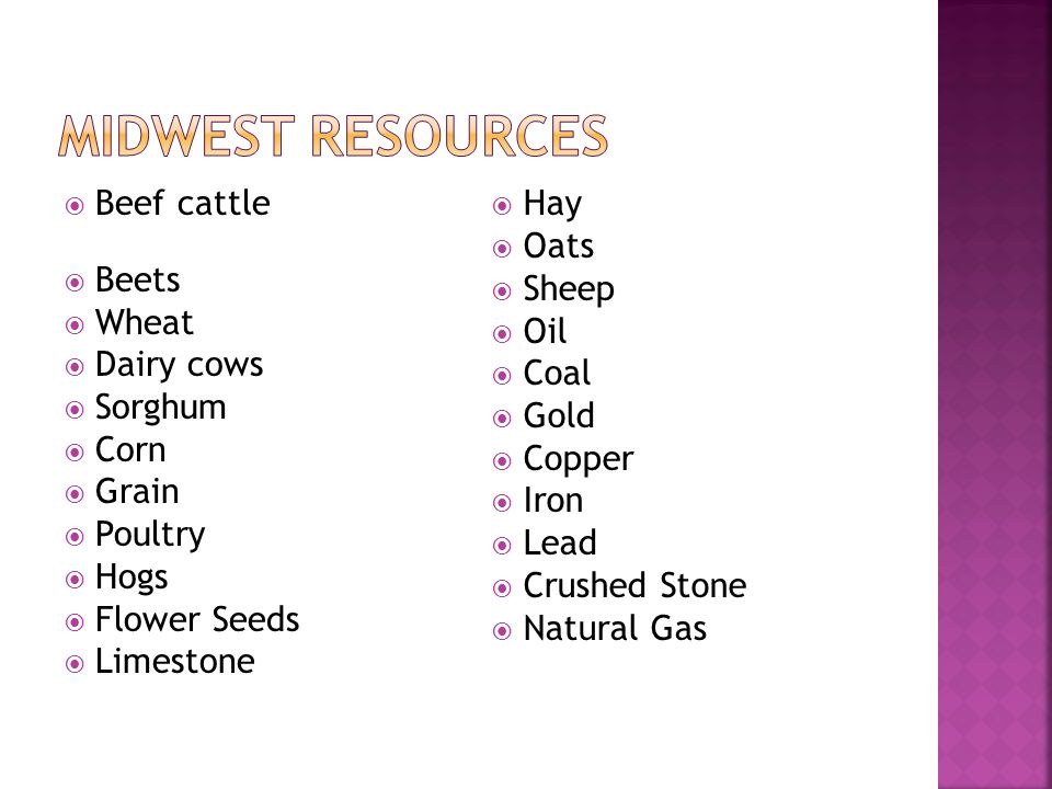  Beef cattle  Beets  Wheat  Dairy cows  Sorghum  Corn  Grain  Poultry  Hogs  Flower Seeds  Limestone  Hay  Oats  Sheep  Oil  Coal  Gold  Copper  Iron  Lead  Crushed Stone  Natural Gas