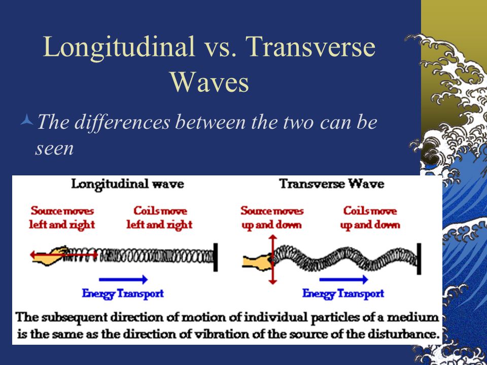 13 Longitudinal vs. Transverse Waves The differences between the two can be seen