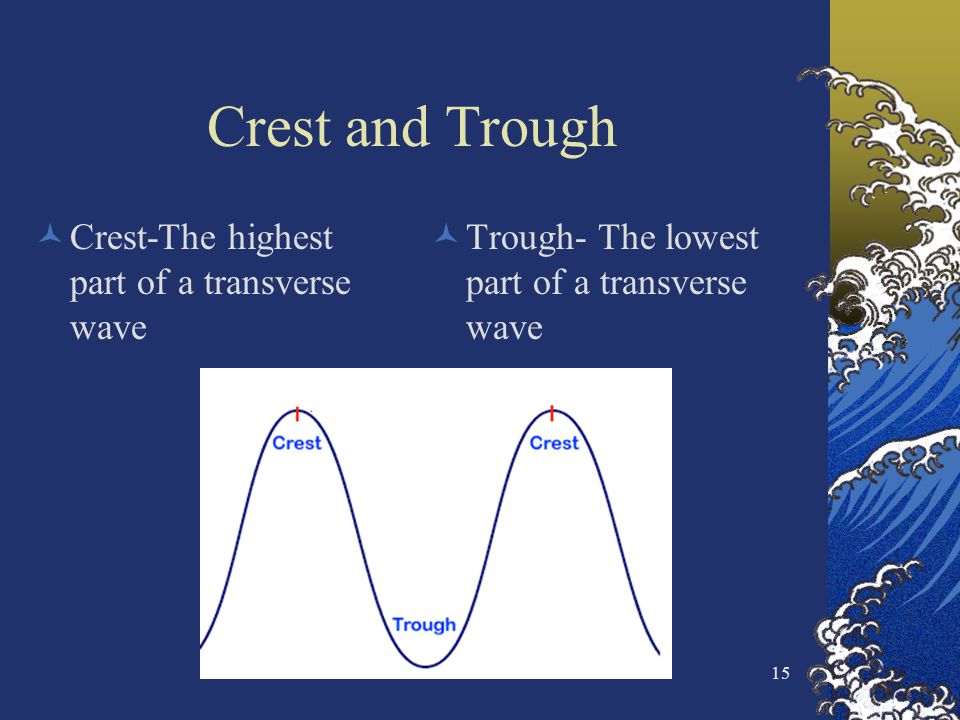 Crest and Trough Crest-The highest part of a transverse wave Trough- The lowest part of a transverse wave 15