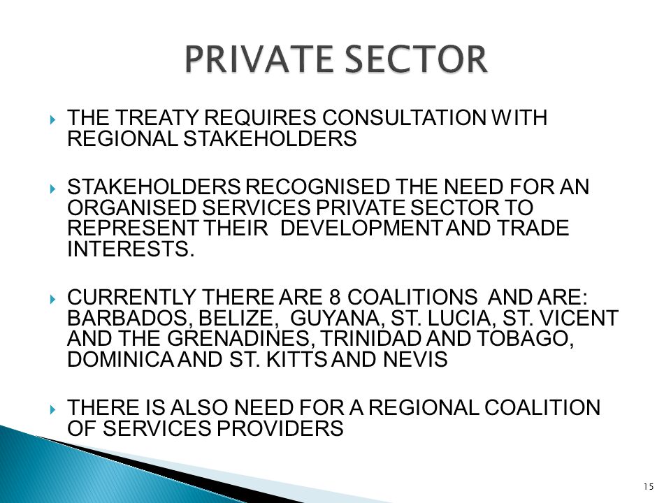  THE TREATY REQUIRES CONSULTATION WITH REGIONAL STAKEHOLDERS  STAKEHOLDERS RECOGNISED THE NEED FOR AN ORGANISED SERVICES PRIVATE SECTOR TO REPRESENT THEIR DEVELOPMENT AND TRADE INTERESTS.