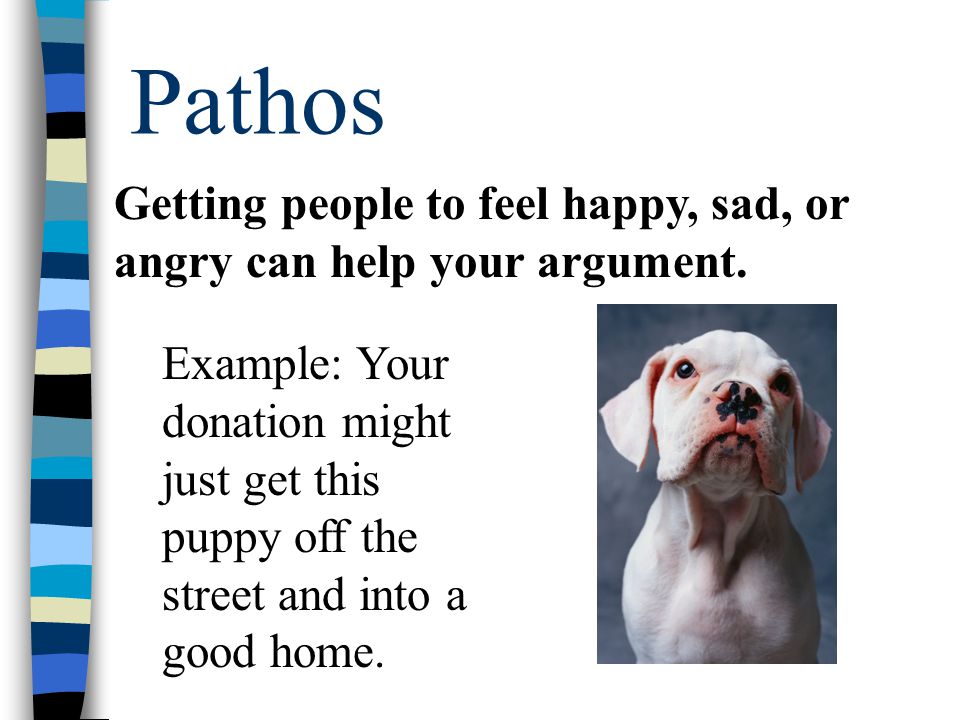 Pathos Example: Your donation might just get this puppy off the street and into a good home.