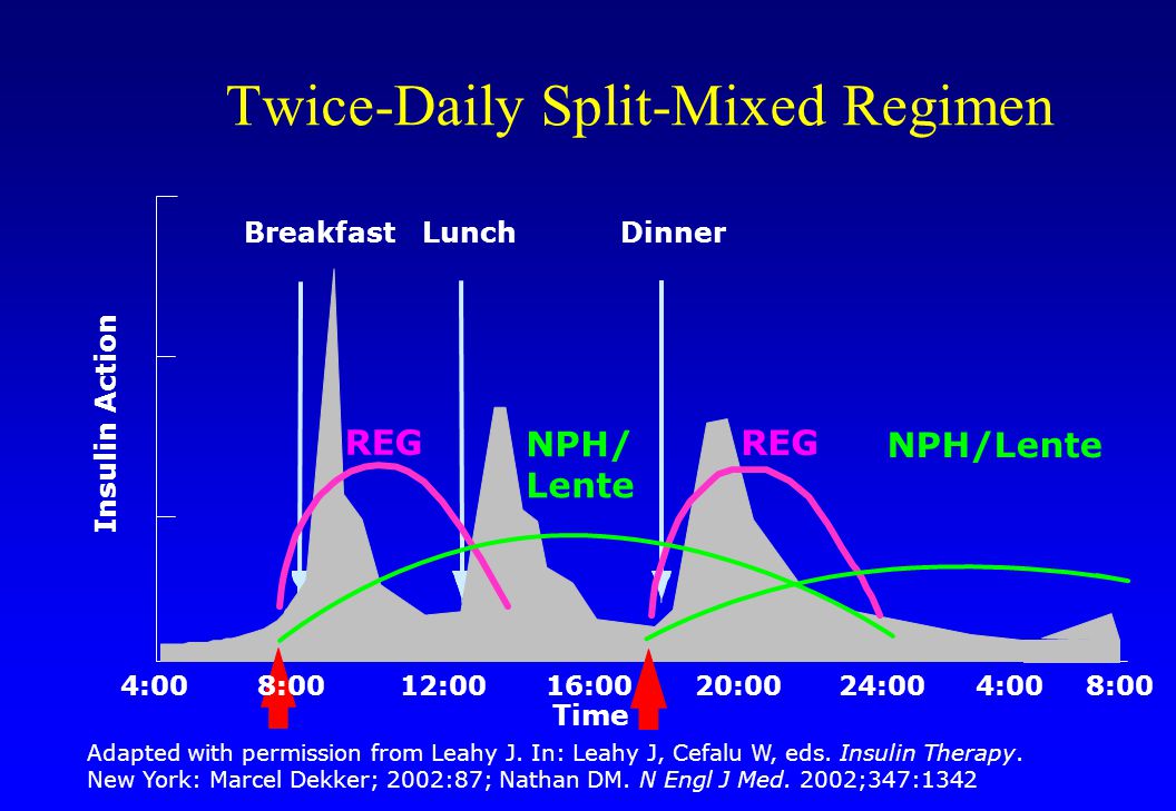4:0016:0020:0024:004:00 BreakfastLunchDinner Insulin Action 8:00 12:008:00 Time REG NPH/Lente Twice-Daily Split-Mixed Regimen Adapted with permission from Leahy J.