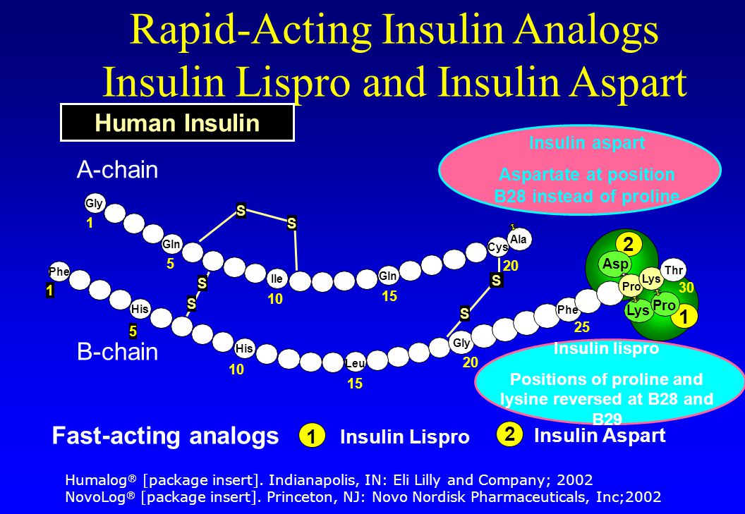 A-chain B-chain 2 Insulin Aspart 2 Asp Insulin Lispro1 1 Lys Pro Gly S S Gly Gln Ile Gln Cys Phe His Leu S S S S Phe Pro Lys Thr Ala Fast-acting analogs Rapid-Acting Insulin Analogs Insulin Lispro and Insulin Aspart Human Insulin Insulin aspart Aspartate at position B28 instead of proline Insulin lispro Positions of proline and lysine reversed at B28 and B29 Humalog ® [package insert].