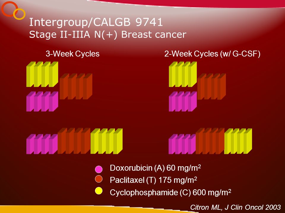 Intergroup/CALGB 9741 Stage II-IIIA N(+) Breast cancer Doxorubicin (A) 60 mg/m 2 Paclitaxel (T) 175 mg/m 2 Cyclophosphamide (C) 600 mg/m 2 3-Week Cycles2-Week Cycles (w/ G-CSF) Citron ML, J Clin Oncol 2003