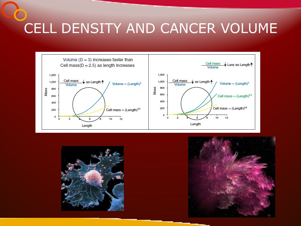 CELL DENSITY AND CANCER VOLUME