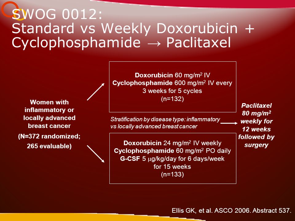 SWOG 0012: Standard vs Weekly Doxorubicin + Cyclophosphamide → Paclitaxel Ellis GK, et al.
