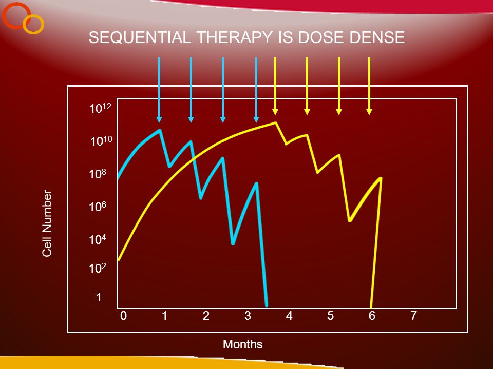 Months Cell Number &6 SEQUENTIAL THERAPY IS DOSE DENSE