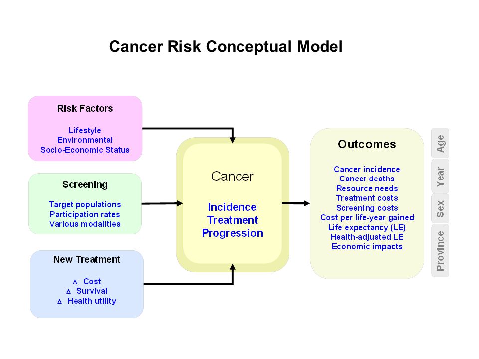 Cancer Risk Conceptual Model