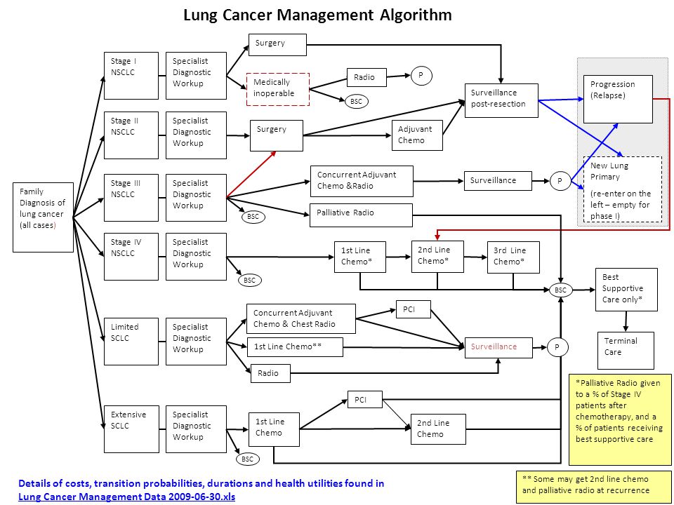 5 Family Diagnosis of lung cancer (all cases) Stage I NSCLC Stage III NSCLC Stage IV NSCLC Stage II NSCLC Surgery Surveillance post-resection 2nd Line Chemo* 1st Line Chemo* Progression (Relapse) Concurrent Adjuvant Chemo &Radio Surveillance Adjuvant Chemo New Lung Primary (re-enter on the left – empty for phase I) Limited SCLC Extensive SCLC 3rd Line Chemo* 2nd Line Chemo 1st Line Chemo Concurrent Adjuvant Chemo & Chest Radio Terminal Care Specialist Diagnostic Workup Surgery Palliative Radio PCI Specialist Diagnostic Workup BSC Medically inoperable Radio 1st Line Chemo** Radio Surveillance P P Best Supportive Care only* BSC P *Palliative Radio given to a % of Stage IV patients after chemotherapy, and a % of patients receiving best supportive care ** Some may get 2nd line chemo and palliative radio at recurrence Details of costs, transition probabilities, durations and health utilities found in Lung Cancer Management Data xls Lung Cancer Management Algorithm