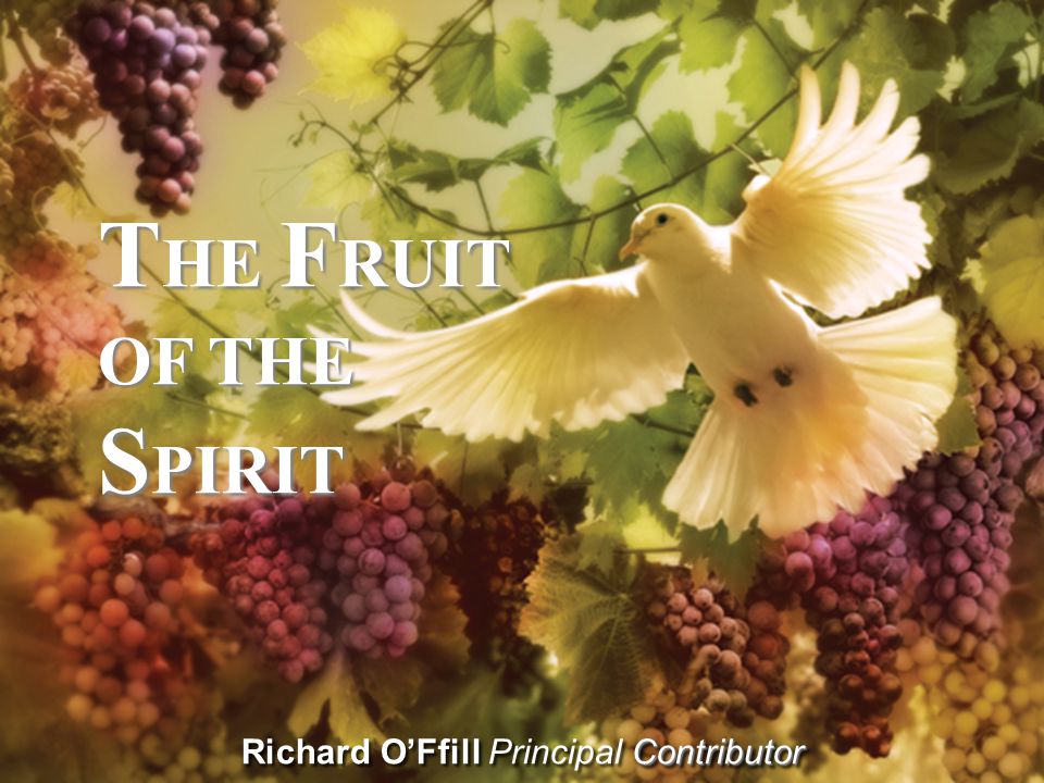 Contributor Richard O’Ffill Principal Contributor T HE F RUIT OF THE S PIRIT