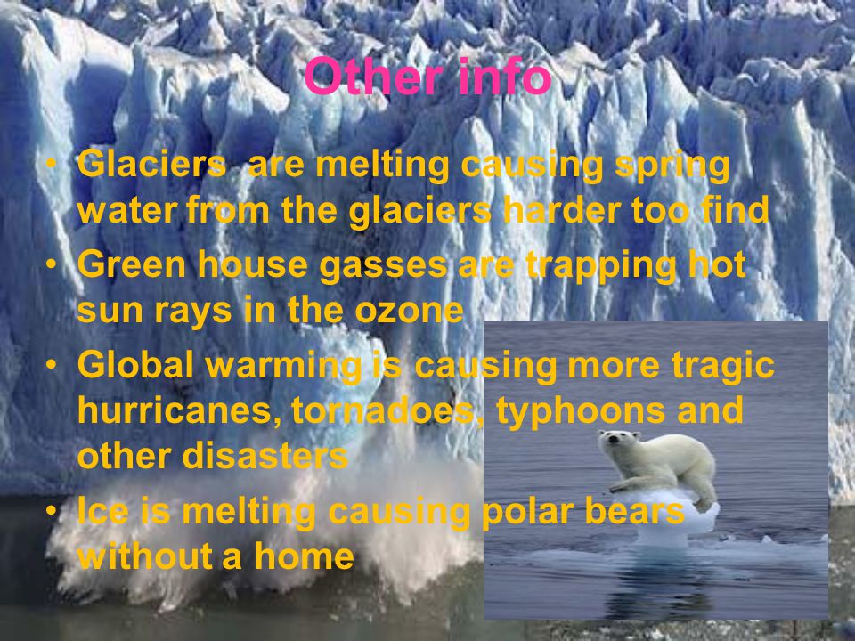 Other info Glaciers are melting causing spring water from the glaciers harder too find Green house gasses are trapping hot sun rays in the ozone Global warming is causing more tragic hurricanes, tornadoes, typhoons and other disasters Ice is melting causing polar bears without a home