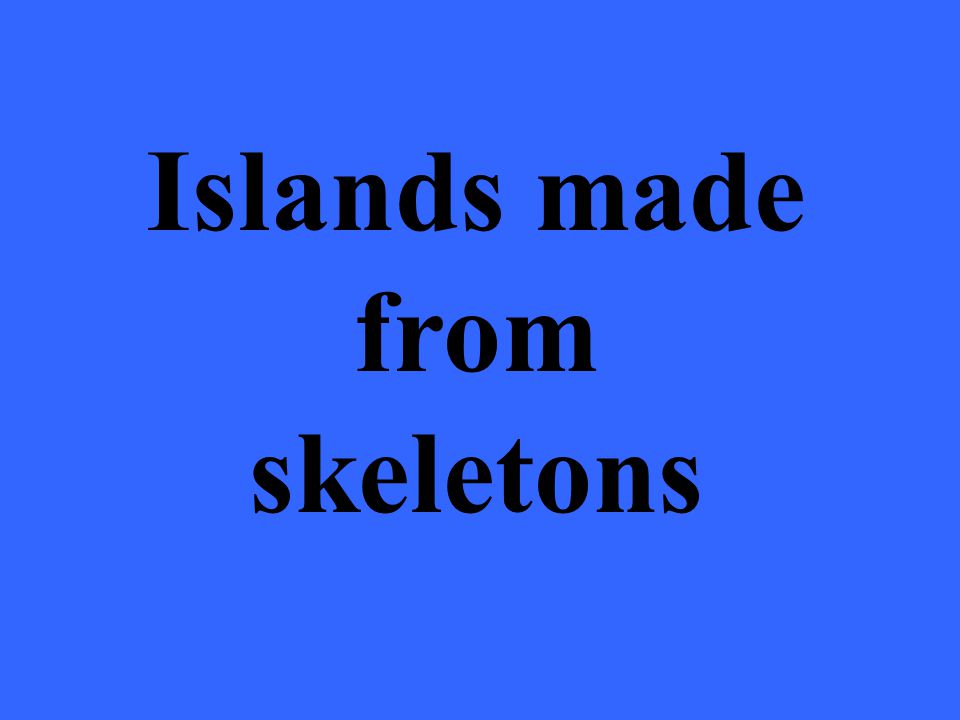Islands made from skeletons