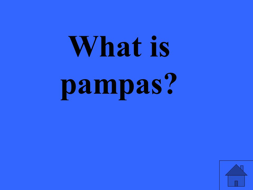 What is pampas