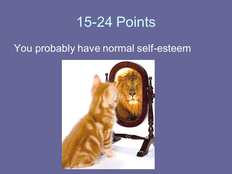 15-24 Points You probably have normal self-esteem