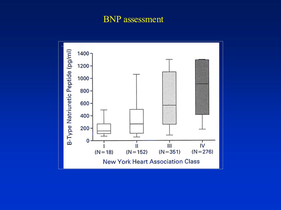 BNP assessment