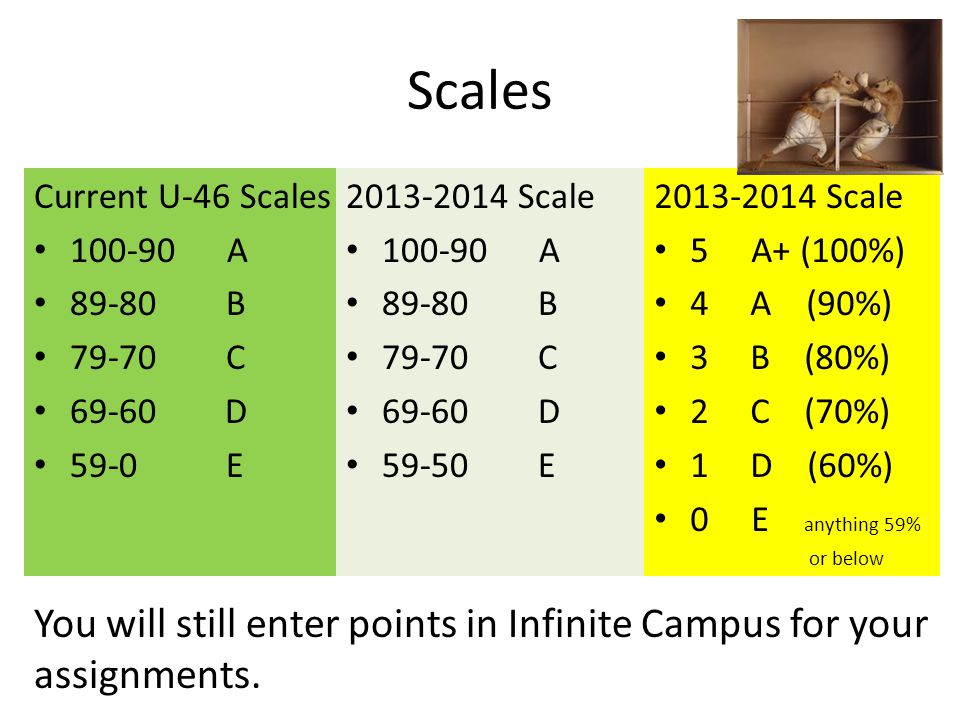 Guideline 3 Grade scales should be devised to give equal Guideline 3 Grade scales should be devised to give equal