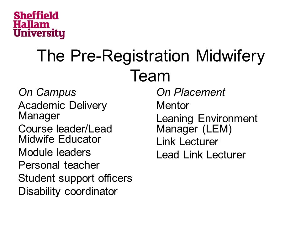 The Pre-Registration Midwifery Team On Campus Academic Delivery Manager Course leader/Lead Midwife Educator Module leaders Personal teacher Student support officers Disability coordinator On Placement Mentor Leaning Environment Manager (LEM) Link Lecturer Lead Link Lecturer