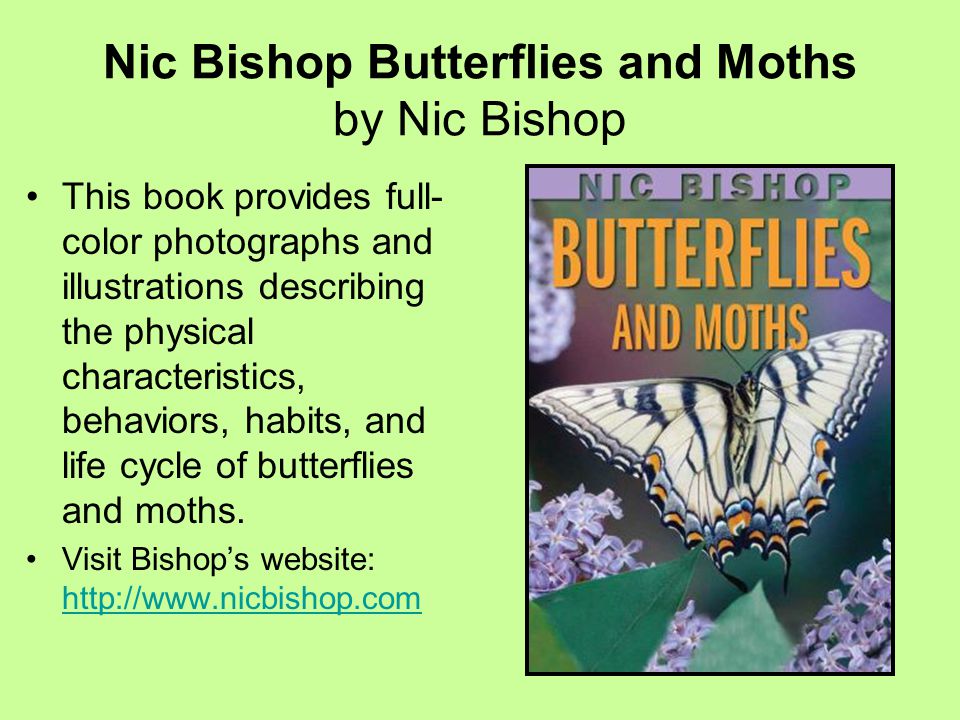 Nic Bishop Butterflies and Moths by Nic Bishop This book provides full- color photographs and illustrations describing the physical characteristics, behaviors, habits, and life cycle of butterflies and moths.