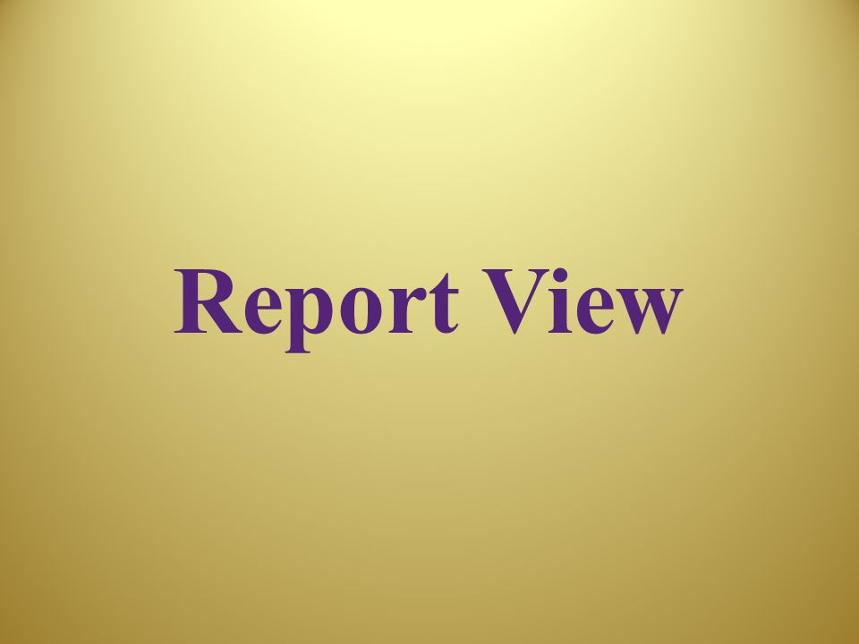 Report View