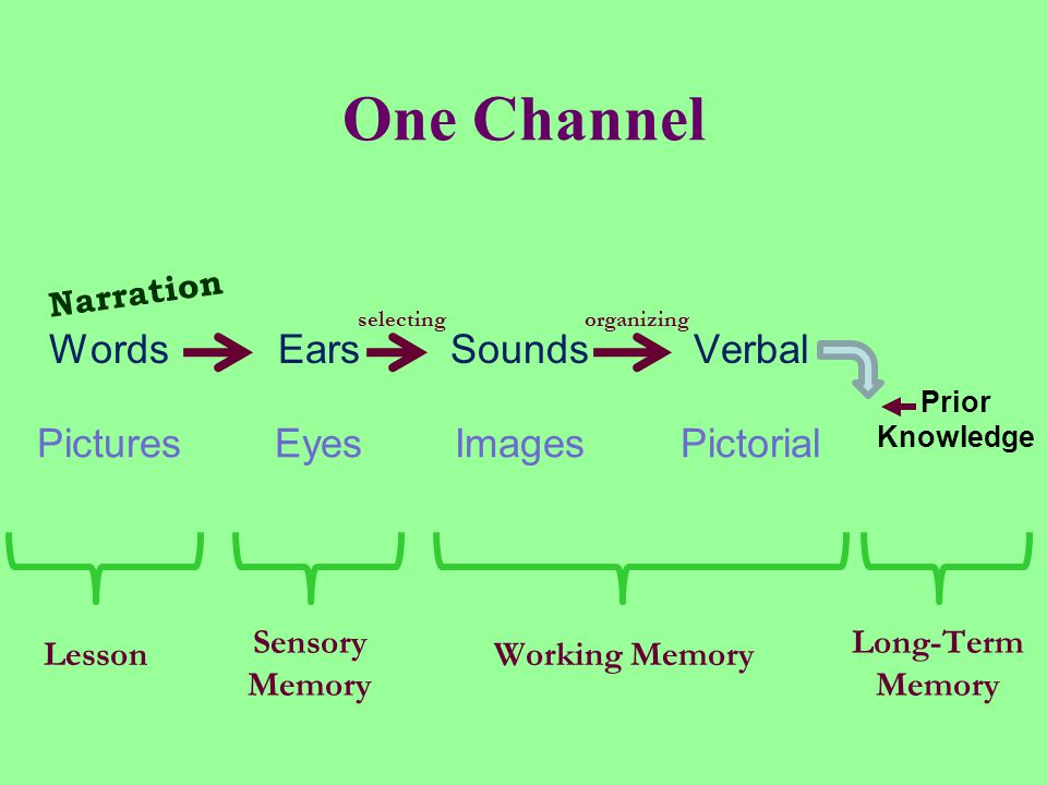Words Pictures Ears Eyes Prior Knowledge Sounds Images Verbal Pictorial selectingorganizing Narration Working Memory Long-Term Memory Sensory Memory Lesson One Channel