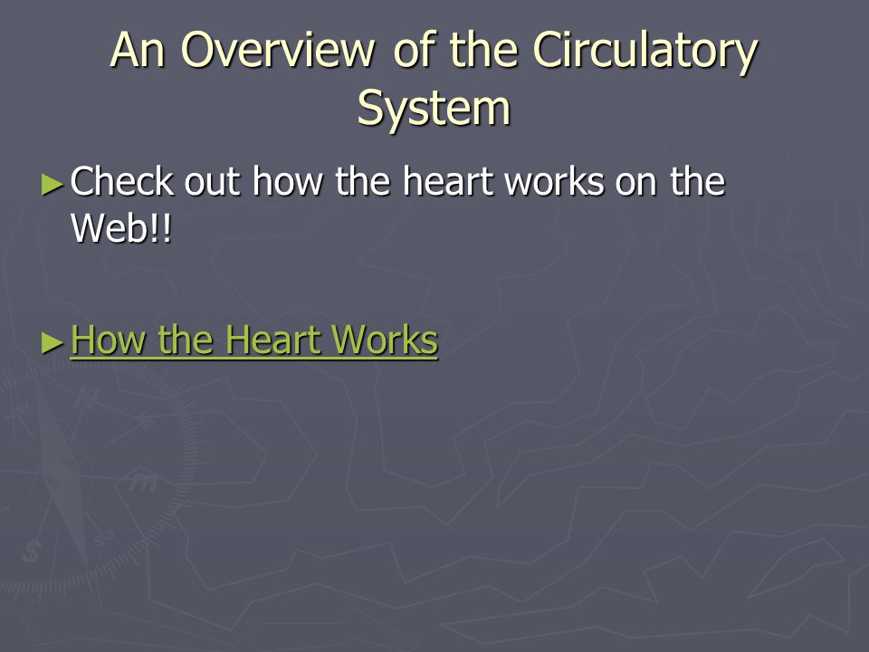 An Overview of the Circulatory System ► Check out how the heart works on the Web!.