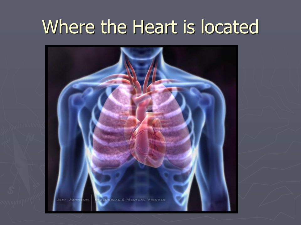 Where the Heart is located