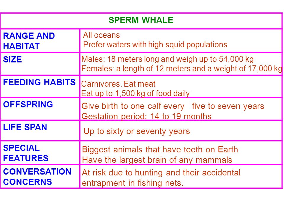 Authoritative sperm life period something is Have sperm life period pity, that