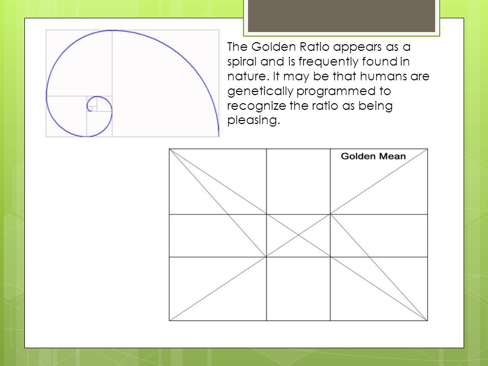The Golden Ratio appears as a spiral and is frequently found in nature.