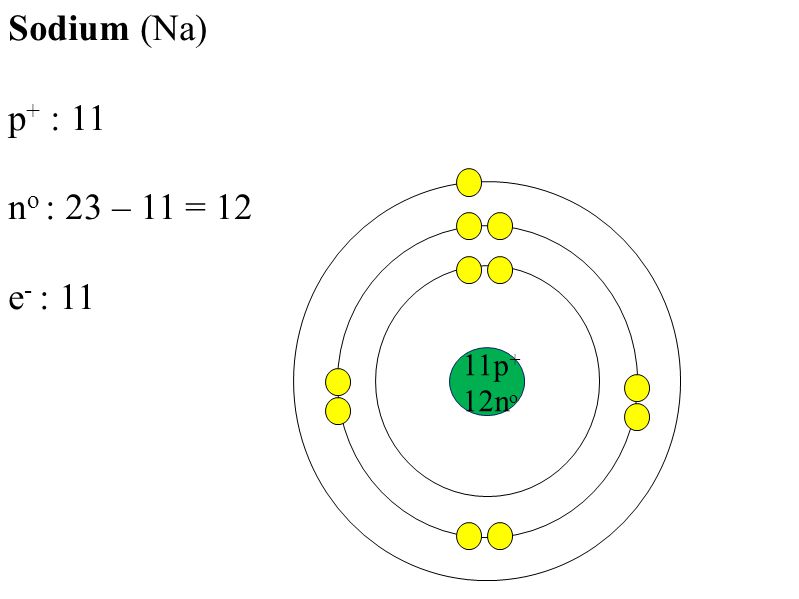 11p + 12n o Sodium (Na) p + : 11 n o : 23 – 11 = 12 e - : 11
