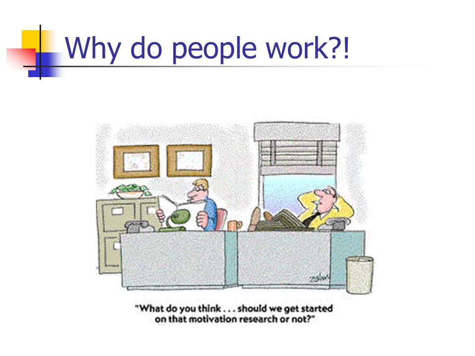Why do people work !