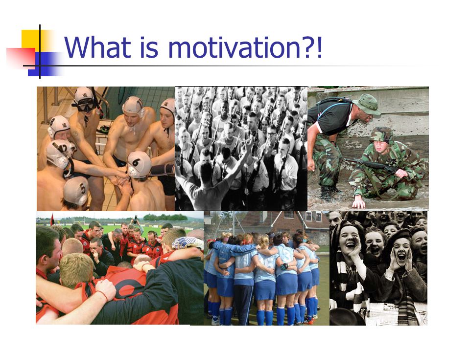 What is motivation !