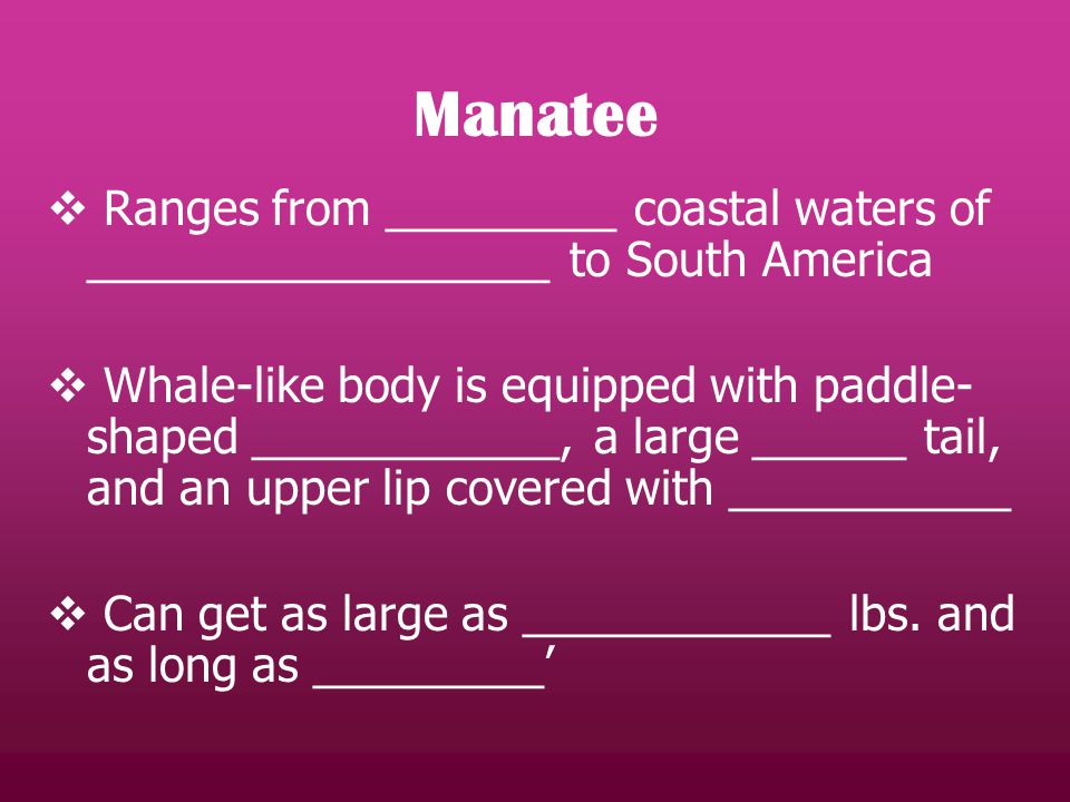  Ranges from _________ coastal waters of __________________ to South America  Whale-like body is equipped with paddle- shaped ____________, a large ______ tail, and an upper lip covered with ___________  Can get as large as ____________ lbs.