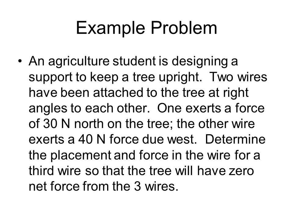 Example Problem An agriculture student is designing a support to keep a tree upright.