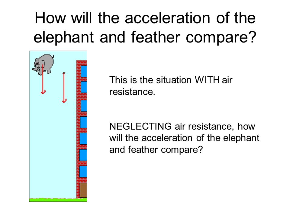 How will the acceleration of the elephant and feather compare.
