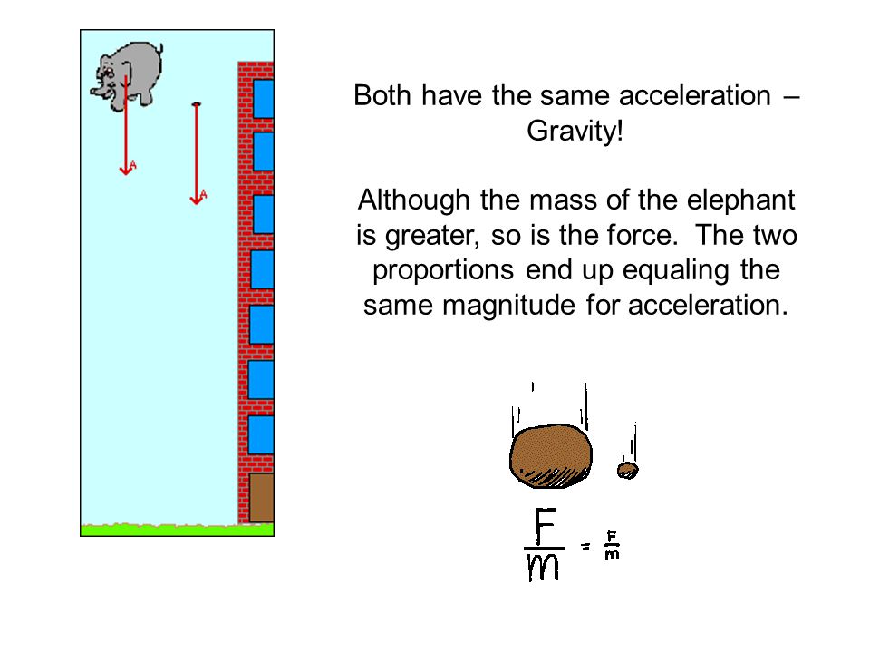 Both have the same acceleration – Gravity.