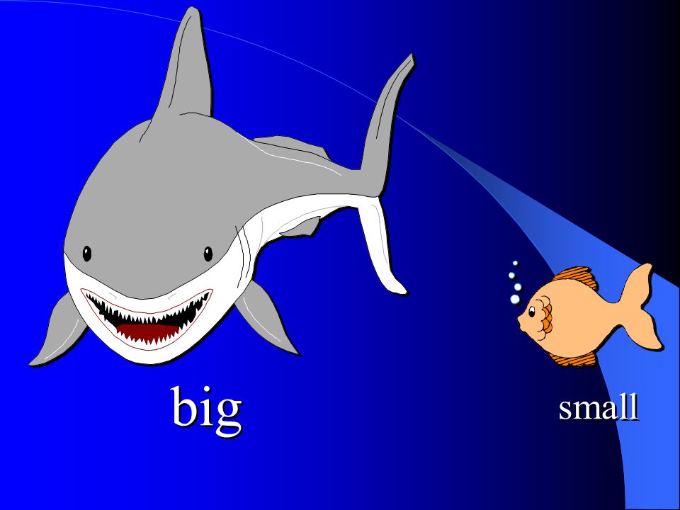Examples of Opposites by changing word. rough shallow big  calm  deep  small