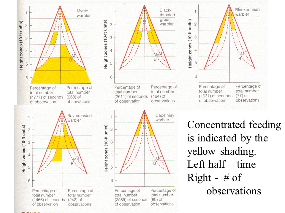 Concentrated feeding is indicated by the yellow shading. Left half – time Right - # of observations