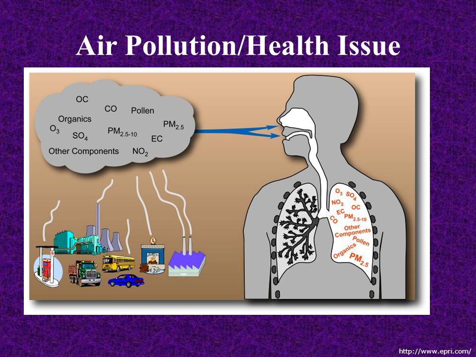 Air Pollution/Health Issue