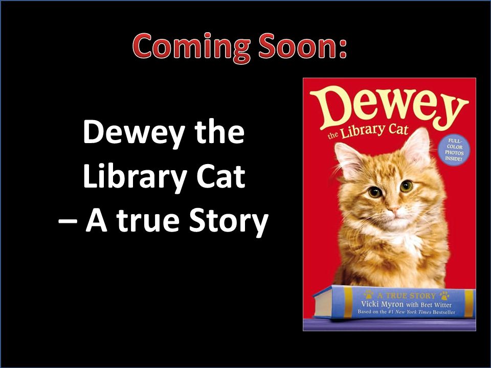 Dewey the Library Cat – A true Story