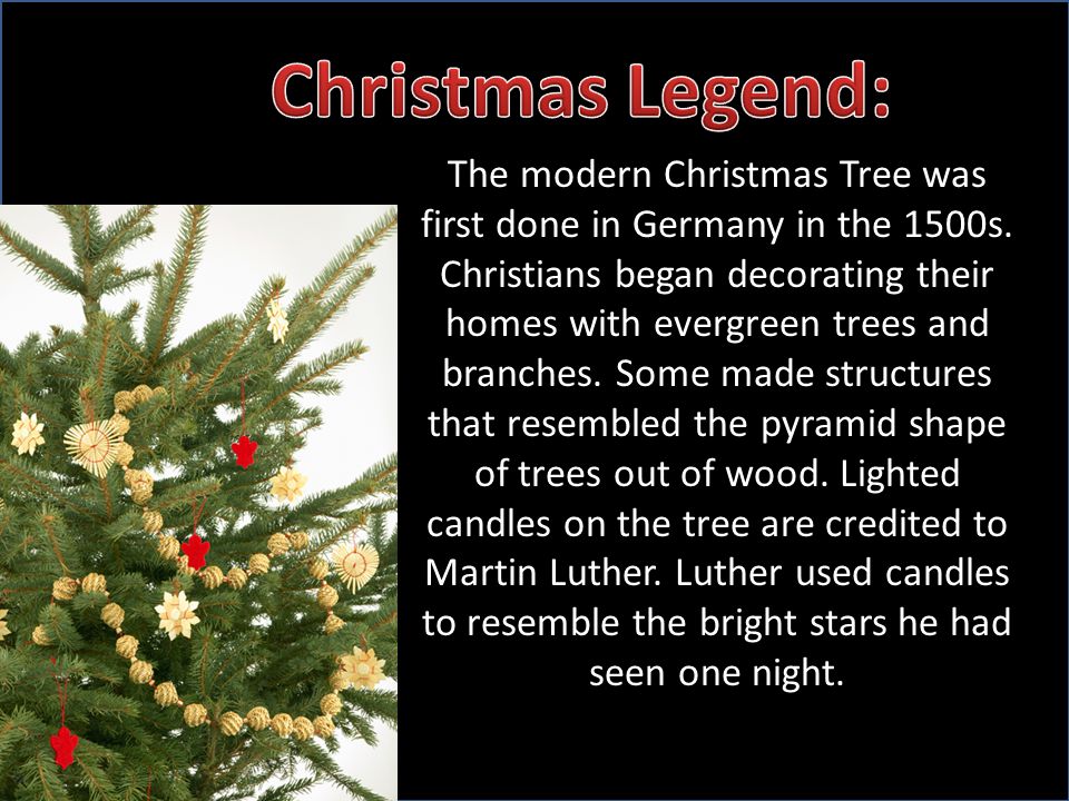 The modern Christmas Tree was first done in Germany in the 1500s.