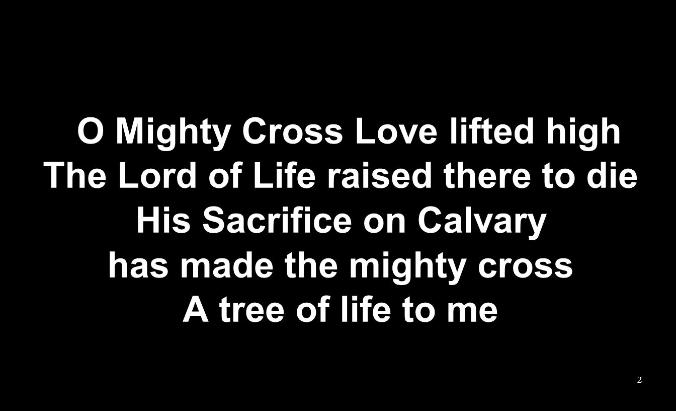 O Mighty Cross Love lifted high The Lord of Life raised there to die His Sacrifice on Calvary has made the mighty cross A tree of life to me 2