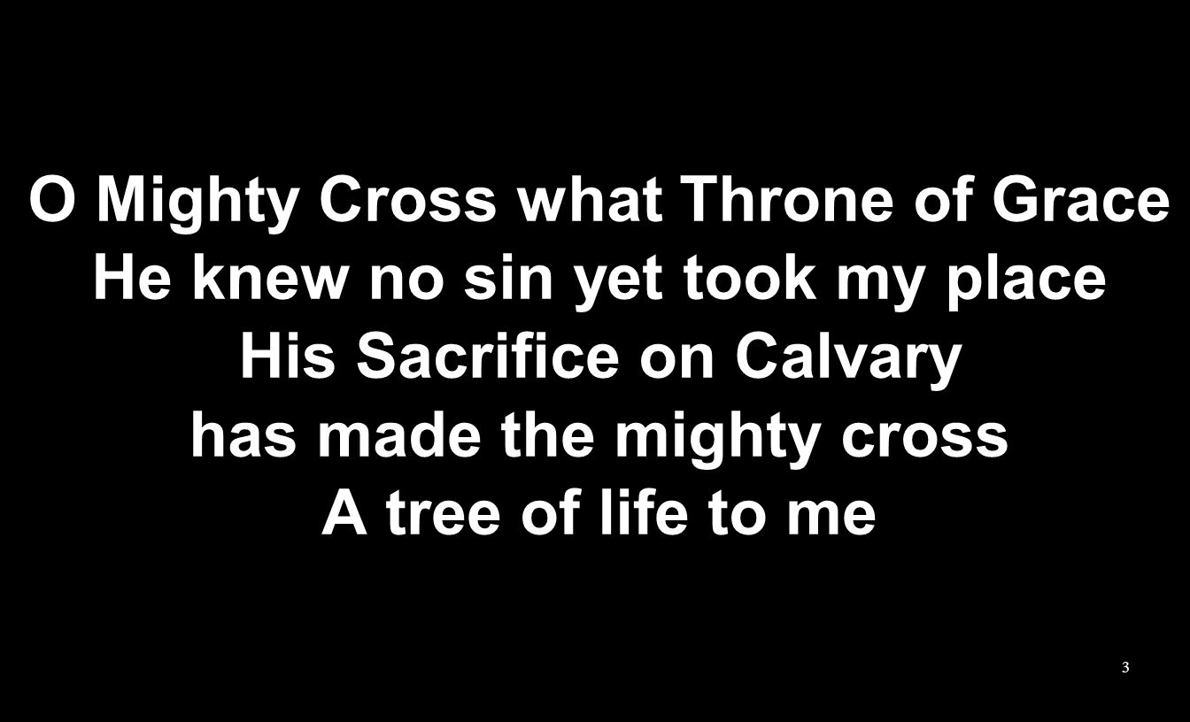 O Mighty Cross what Throne of Grace He knew no sin yet took my place His Sacrifice on Calvary has made the mighty cross A tree of life to me 3