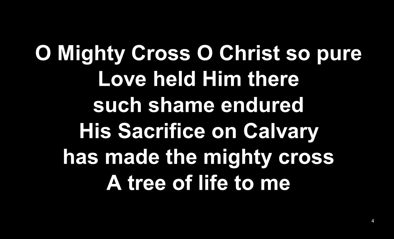 O Mighty Cross O Christ so pure Love held Him there such shame endured His Sacrifice on Calvary has made the mighty cross A tree of life to me 4