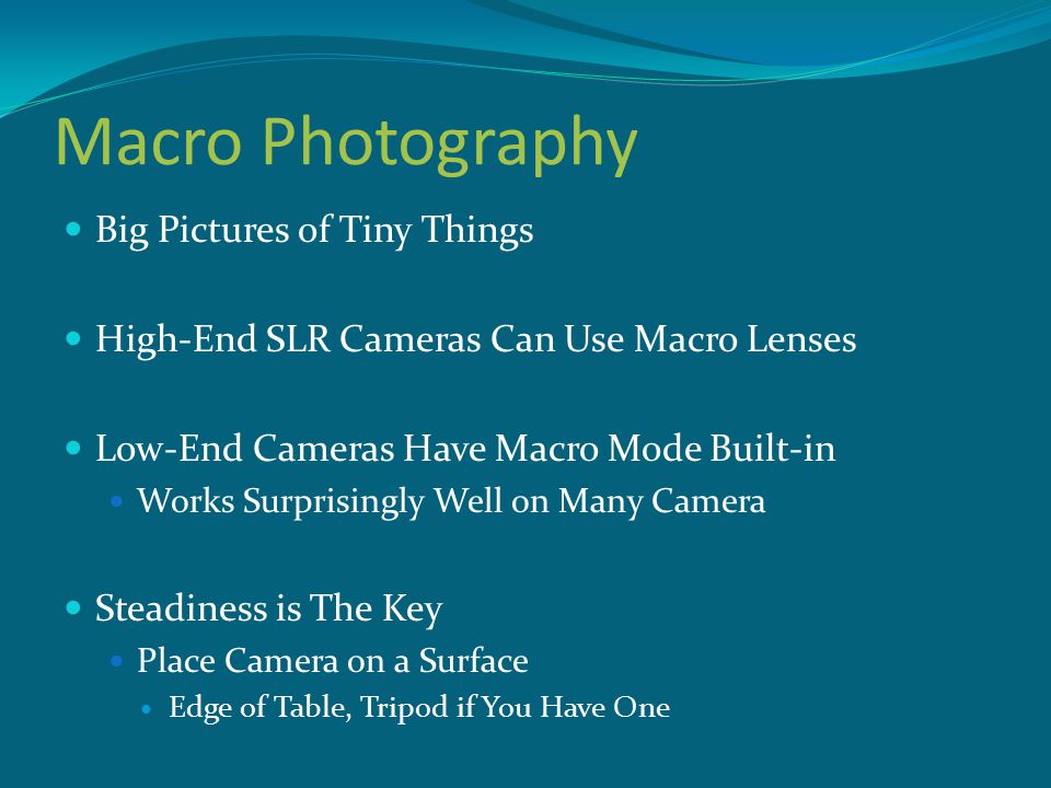 Macro Photography Big Pictures of Tiny Things High-End SLR Cameras Can Use Macro Lenses Low-End Cameras Have Macro Mode Built-in Works Surprisingly Well on Many Camera Steadiness is The Key Place Camera on a Surface Edge of Table, Tripod if You Have One