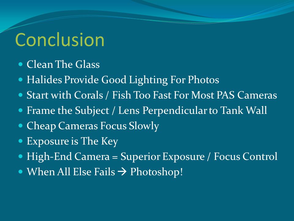 Conclusion Clean The Glass Halides Provide Good Lighting For Photos Start with Corals / Fish Too Fast For Most PAS Cameras Frame the Subject / Lens Perpendicular to Tank Wall Cheap Cameras Focus Slowly Exposure is The Key High-End Camera = Superior Exposure / Focus Control When All Else Fails  Photoshop!