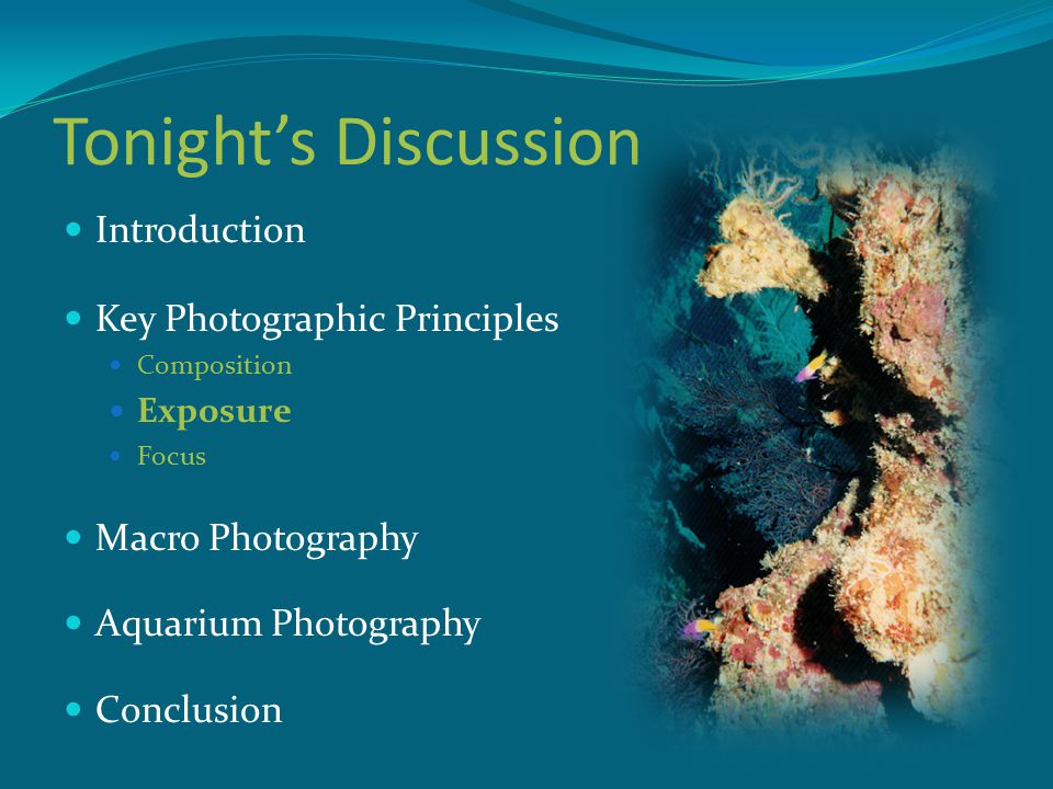 Tonight’s Discussion Introduction Key Photographic Principles Composition Exposure Focus Macro Photography Aquarium Photography Conclusion