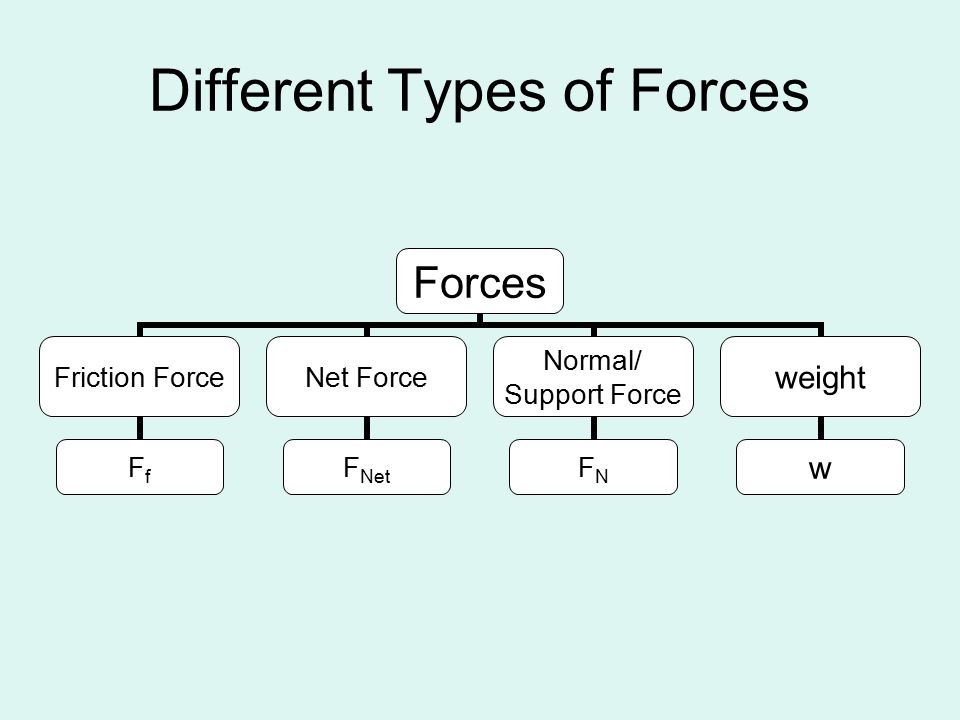 Different Types of Forces Forces Friction Force Ff Net Force FNet Normal/ Support Force FN weight w