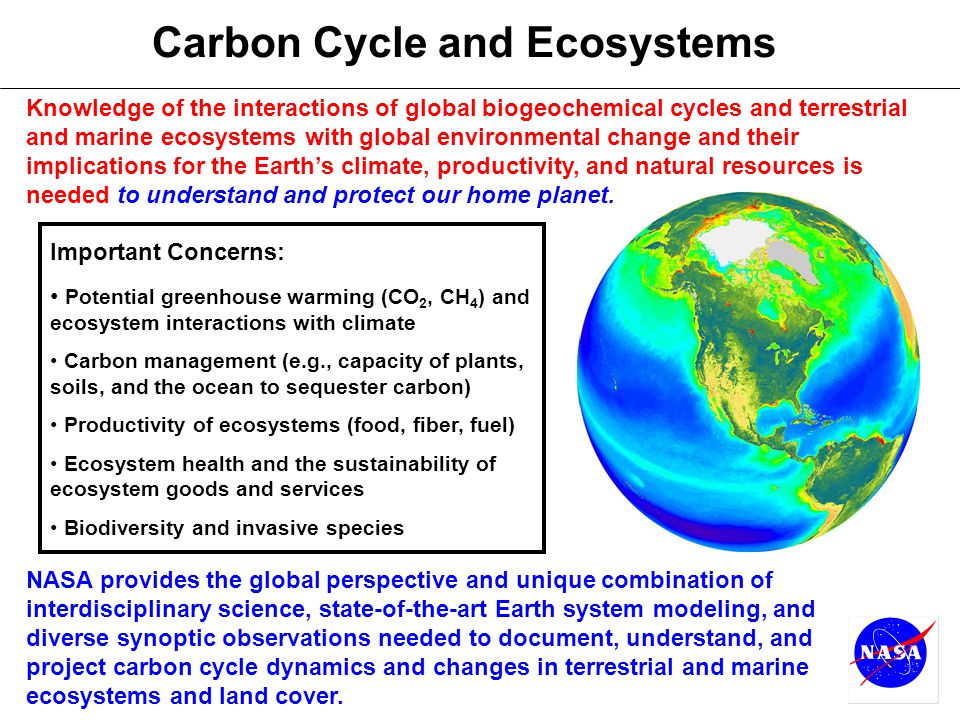 Carbon Cycle and Ecosystems Important Concerns: Potential greenhouse warming (CO 2, CH 4 ) and ecosystem interactions with climate Carbon management (e.g., capacity of plants, soils, and the ocean to sequester carbon) Productivity of ecosystems (food, fiber, fuel) Ecosystem health and the sustainability of ecosystem goods and services Biodiversity and invasive species NASA provides the global perspective and unique combination of interdisciplinary science, state-of-the-art Earth system modeling, and diverse synoptic observations needed to document, understand, and project carbon cycle dynamics and changes in terrestrial and marine ecosystems and land cover.